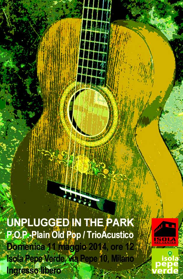 unplugged in the park 11-05-2014